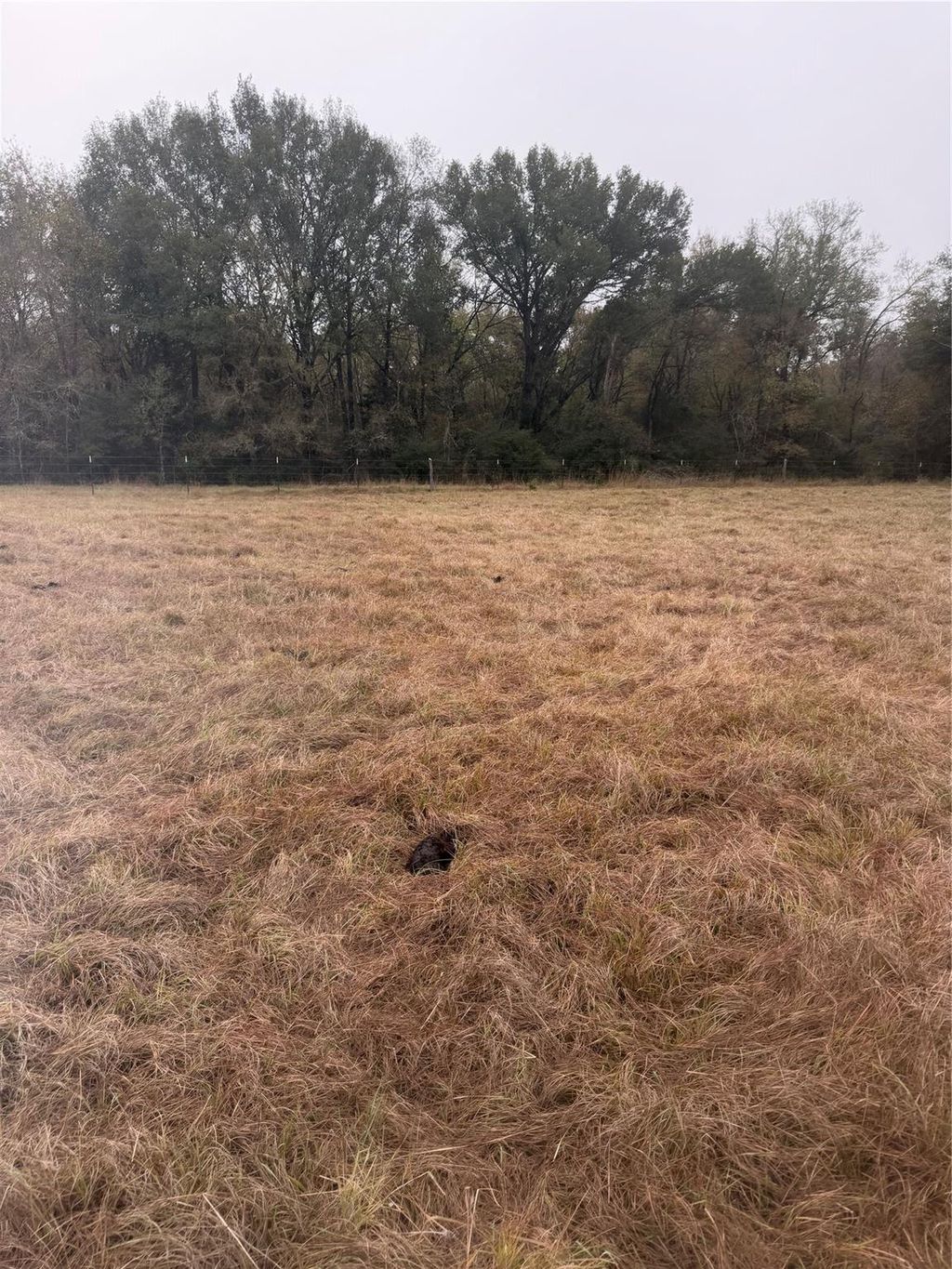 Photo of NA County Road 386, Marquez, TX 77865 (MLS # 67141003)