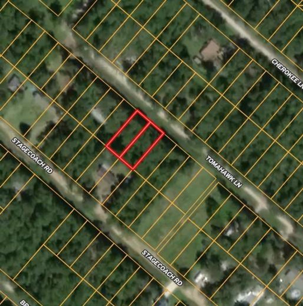 Photo of 115 Tomahawk Trail, Livingston, TX 77351 (MLS # 32796385)