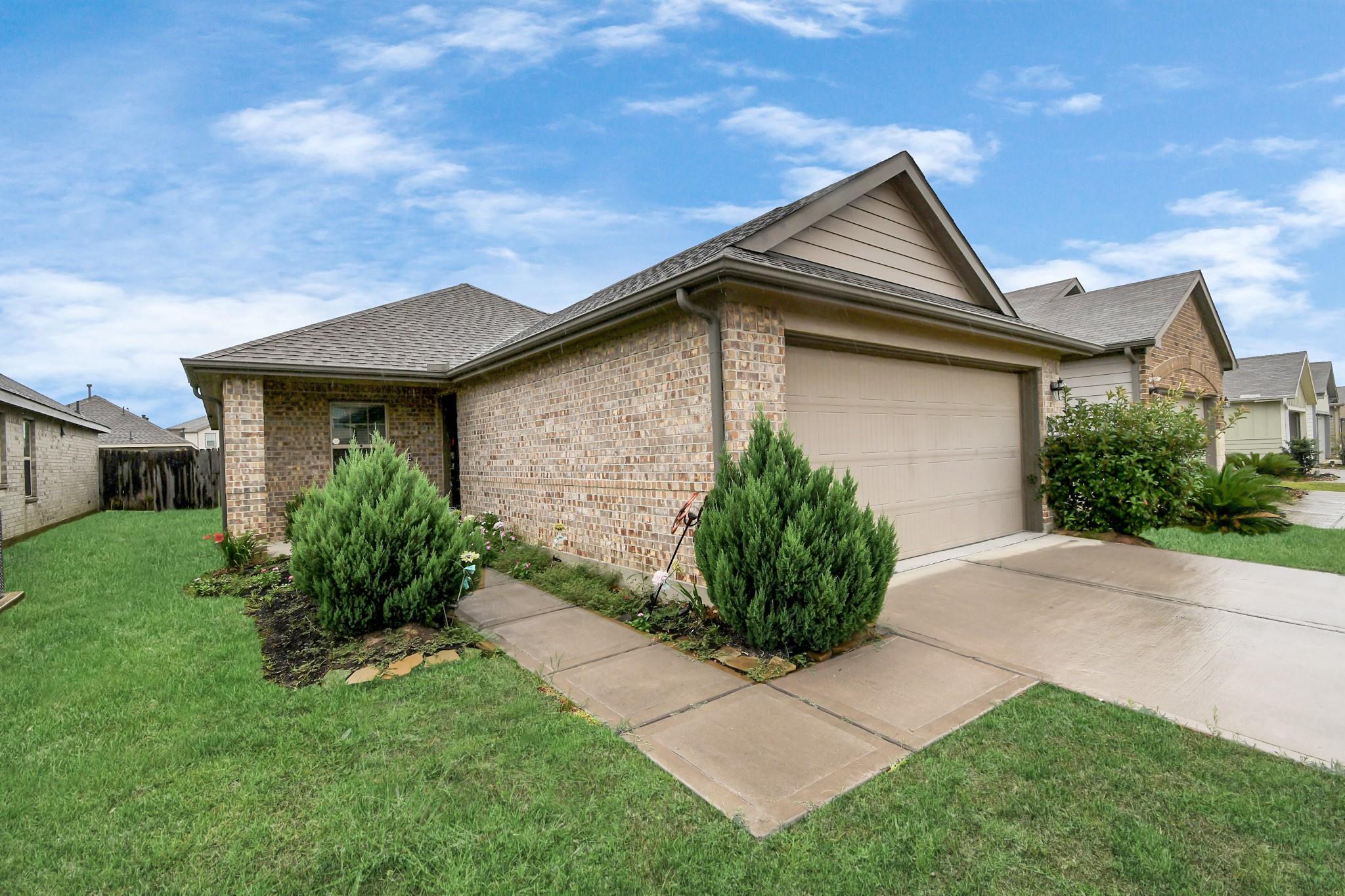 25634 Royal Catchfly Road