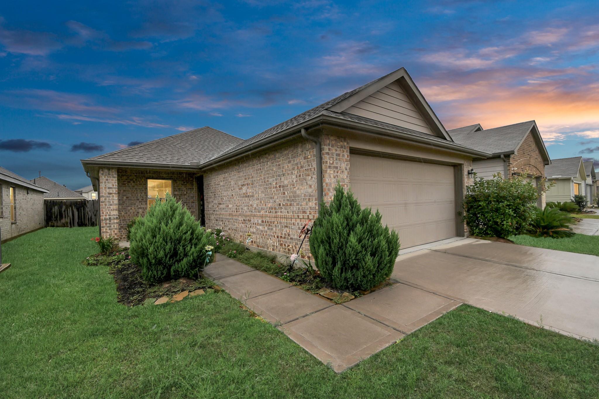 25634 Royal Catchfly Road
