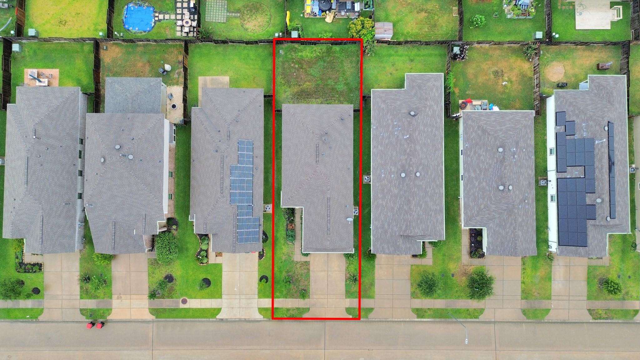 25634 Royal Catchfly Road