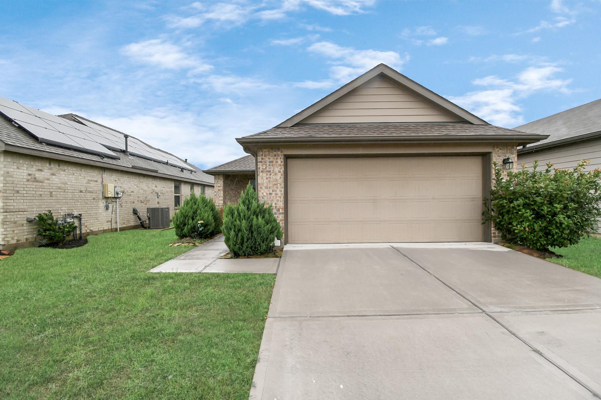 25634 Royal Catchfly Road