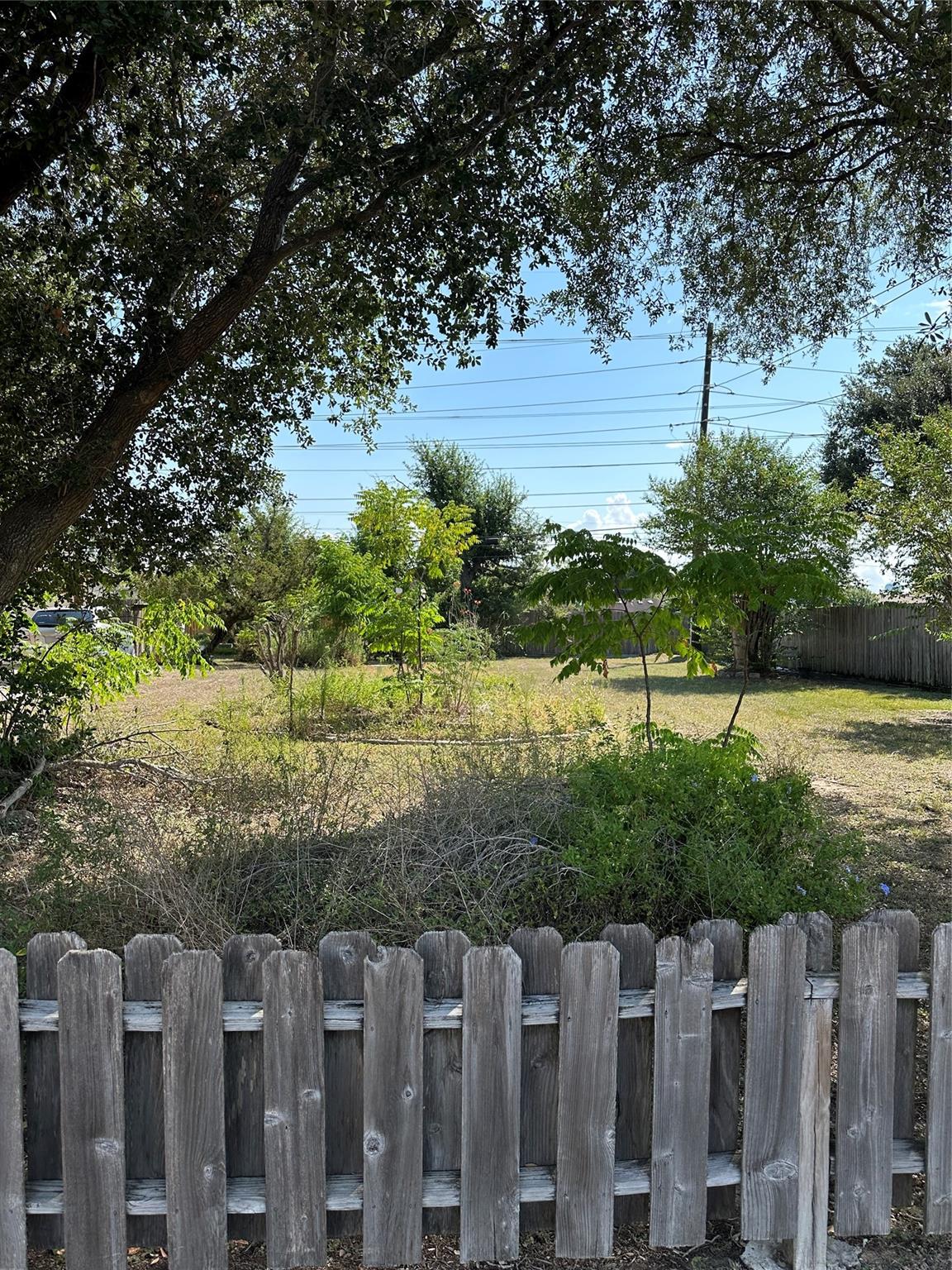 1219 Park Wind Drive