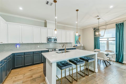 Photo of 8816 Hollywood Garden Lane, Houston, TX 77080 (MLS # 26217289)
