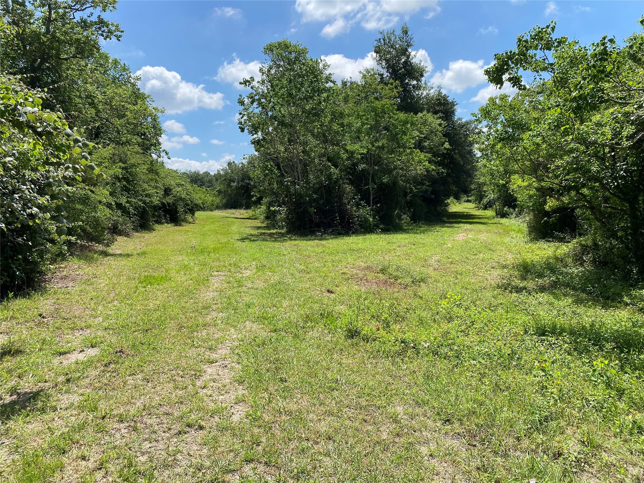 6115 S Highway 35