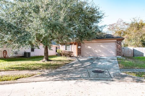 Photo of 6227 Lovage Avenue, Crosby, TX 77532 (MLS # 53105830)