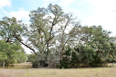 Photo of 11 Lobo Lane, Columbus, TX 78934 (MLS # 56153044)