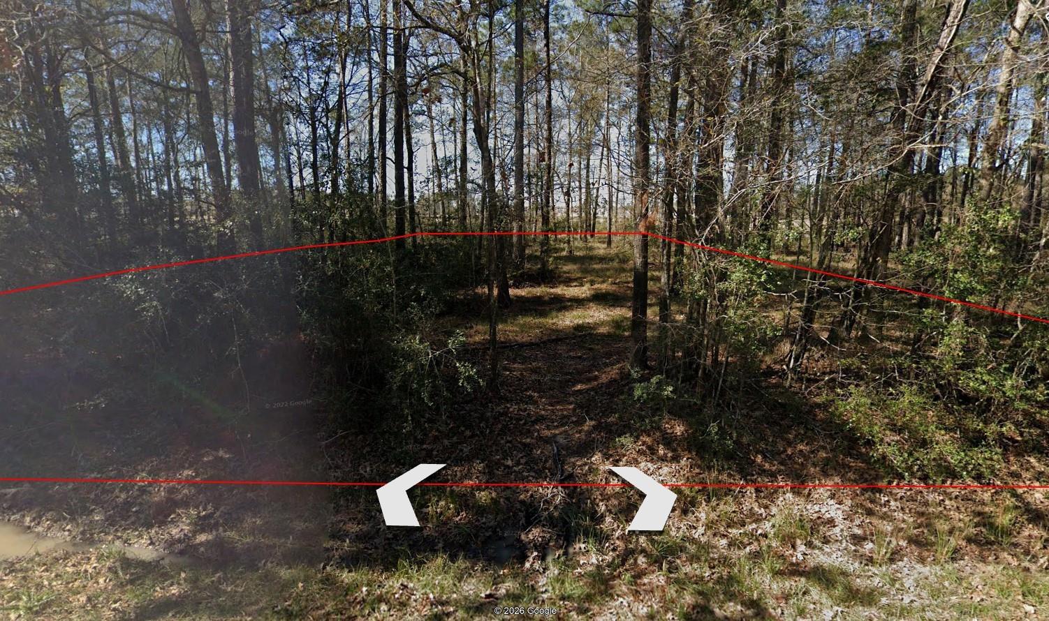 0000 Dogwood Lane