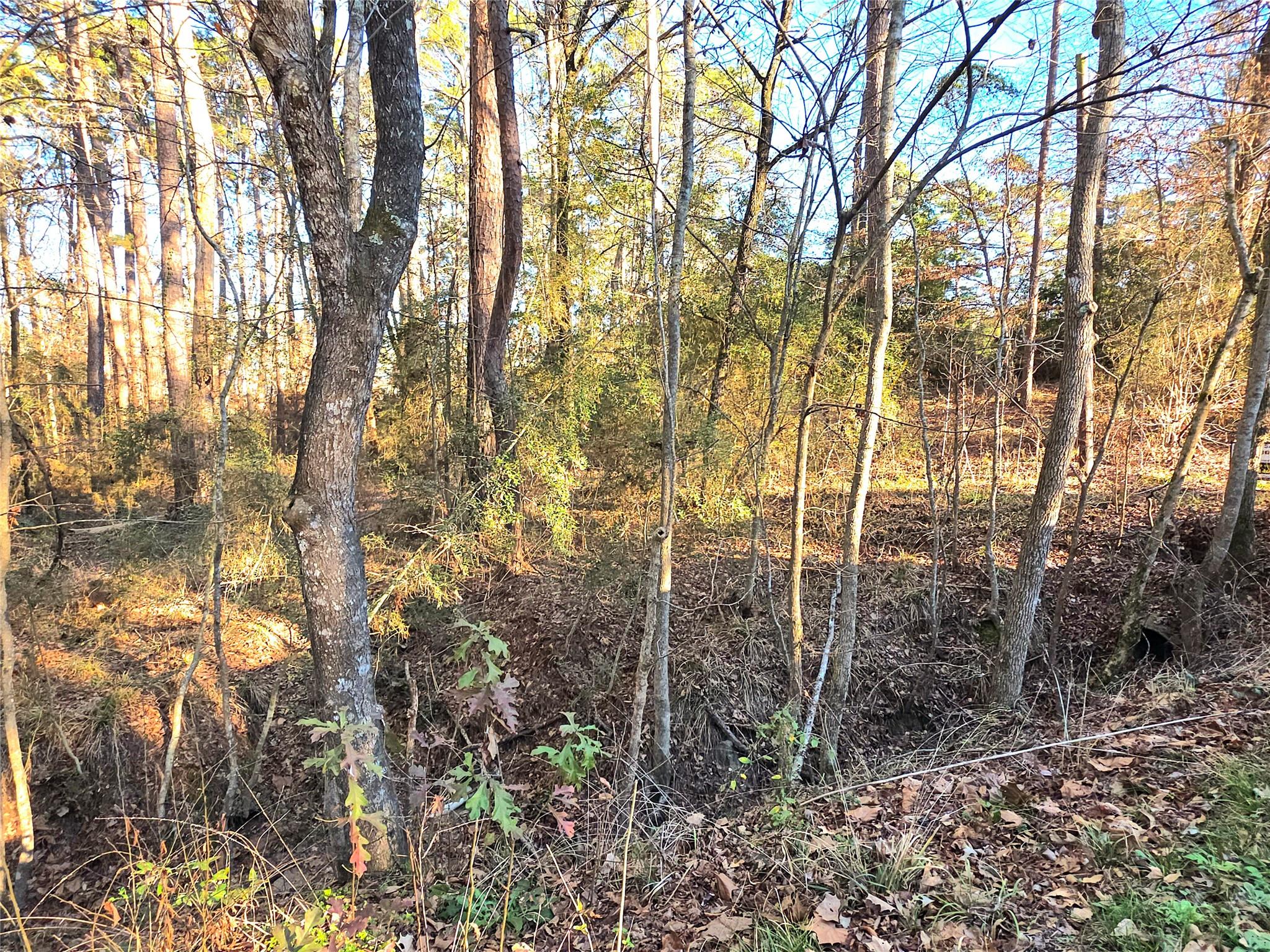 TBD Governor Wood Drive