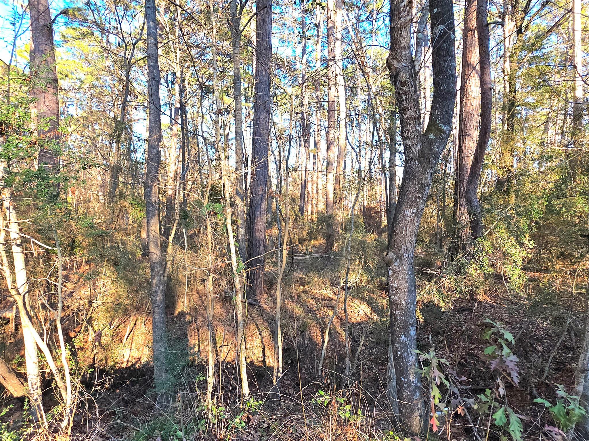 TBD Governor Wood Drive