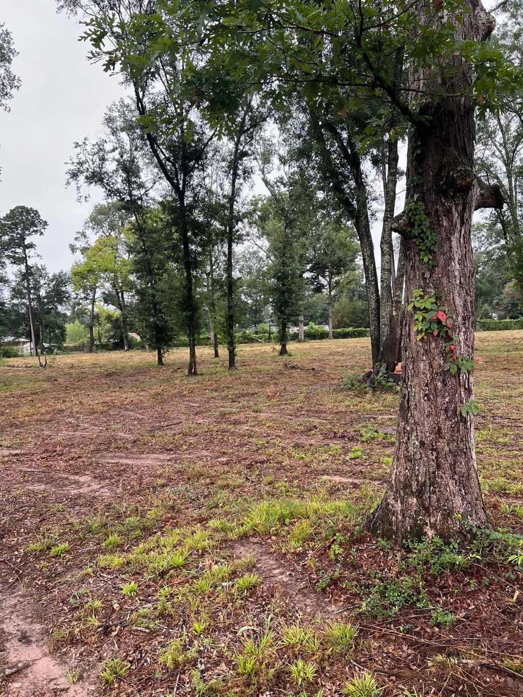 Photo of 21844 Cherry Street, New Caney, TX 77357 (MLS # 75153714)