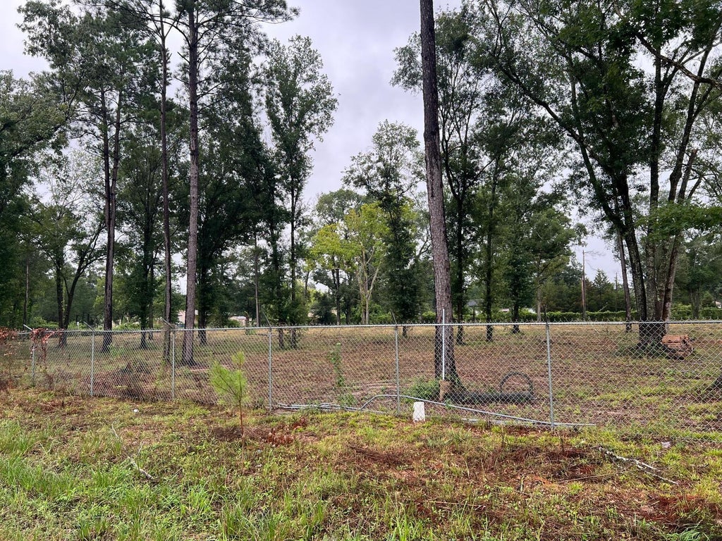 Photo of 21844 Cherry Street, New Caney, TX 77357 (MLS # 75153714)