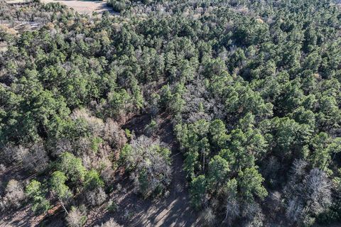 Tiny photo for 135 Morris Lane, Huntsville, TX 77320 (MLS # 34819082)