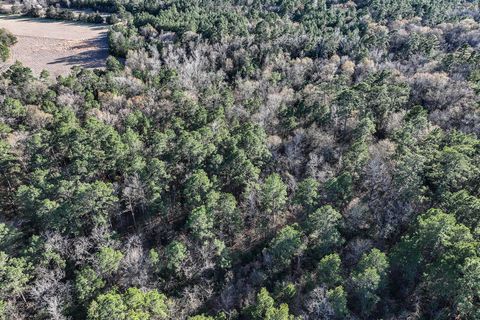 Tiny photo for 135 Morris Lane, Huntsville, TX 77320 (MLS # 34819082)