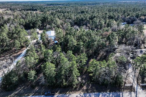 Tiny photo for 135 Morris Lane, Huntsville, TX 77320 (MLS # 34819082)