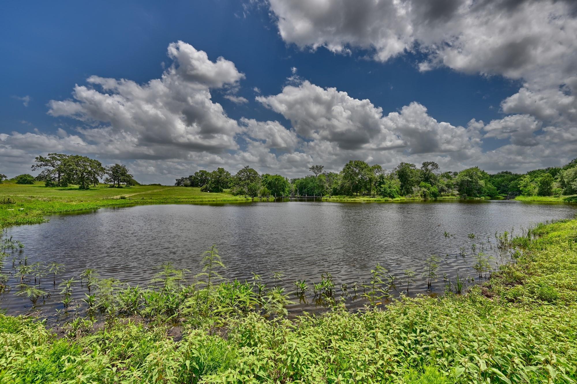 7800 Farm To Market 1948 Road W