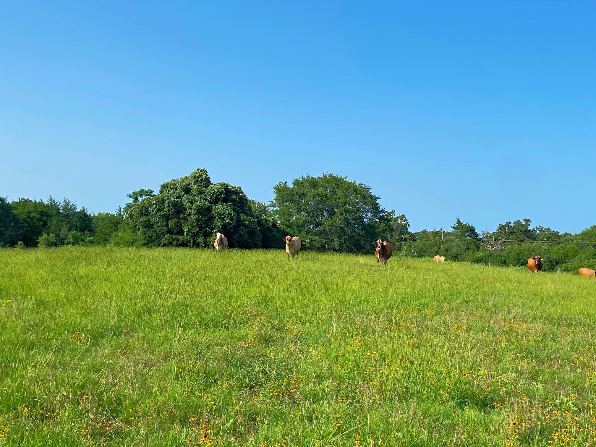 7800 Farm To Market 1948 Road W