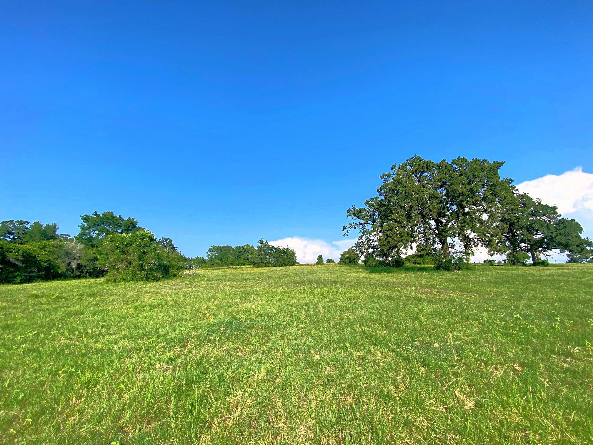 7800 Farm To Market 1948 Road W