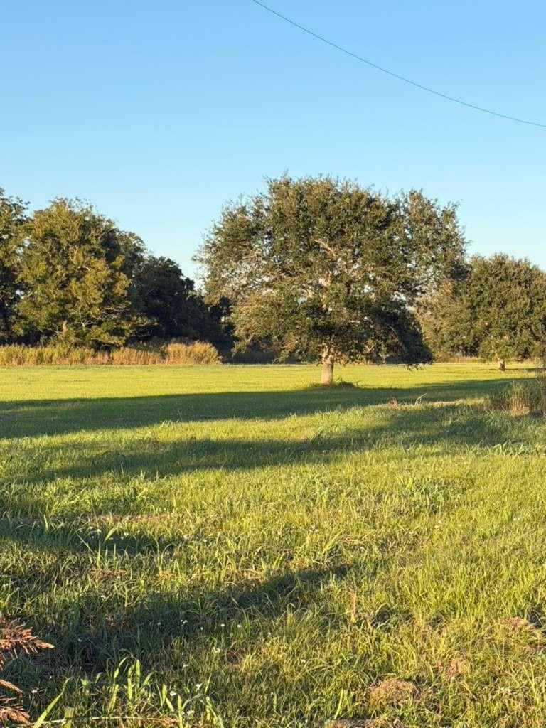16318 Deerhaven Run