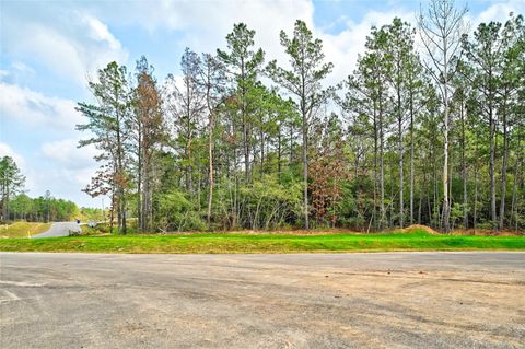 Photo of 4521 Marfa Court, Montgomery, TX 77316 (MLS # 85406683)