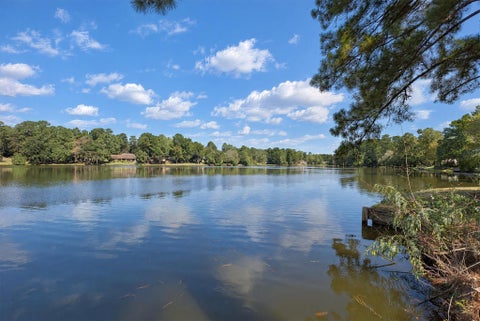 Photo of 1913 E Lake Drive, Huntsville, TX 77340 (MLS # 65732028)