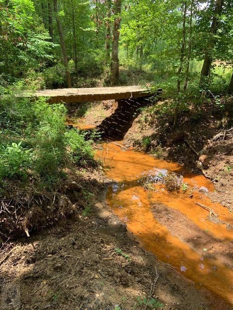 Photo of 0 County Rd 203, San Augustine, TX 75972 (MLS # 94005260)