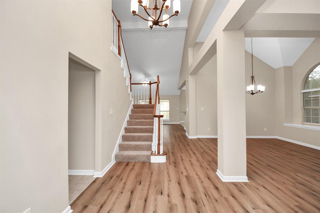 2519 Palace Drive