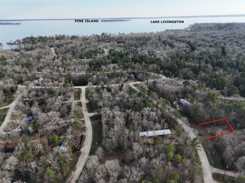 Photo of 195 Lakecrest, Livingston, TX 77351 (MLS # 894202)