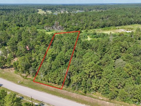 Photo of 743 Lonestar Road, Huntsville, TX 77340 (MLS # 91798654)