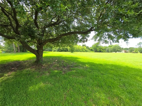 Vacant Land For Sale - TBD High Crest Dr<br/> Point Blank, TX 77364