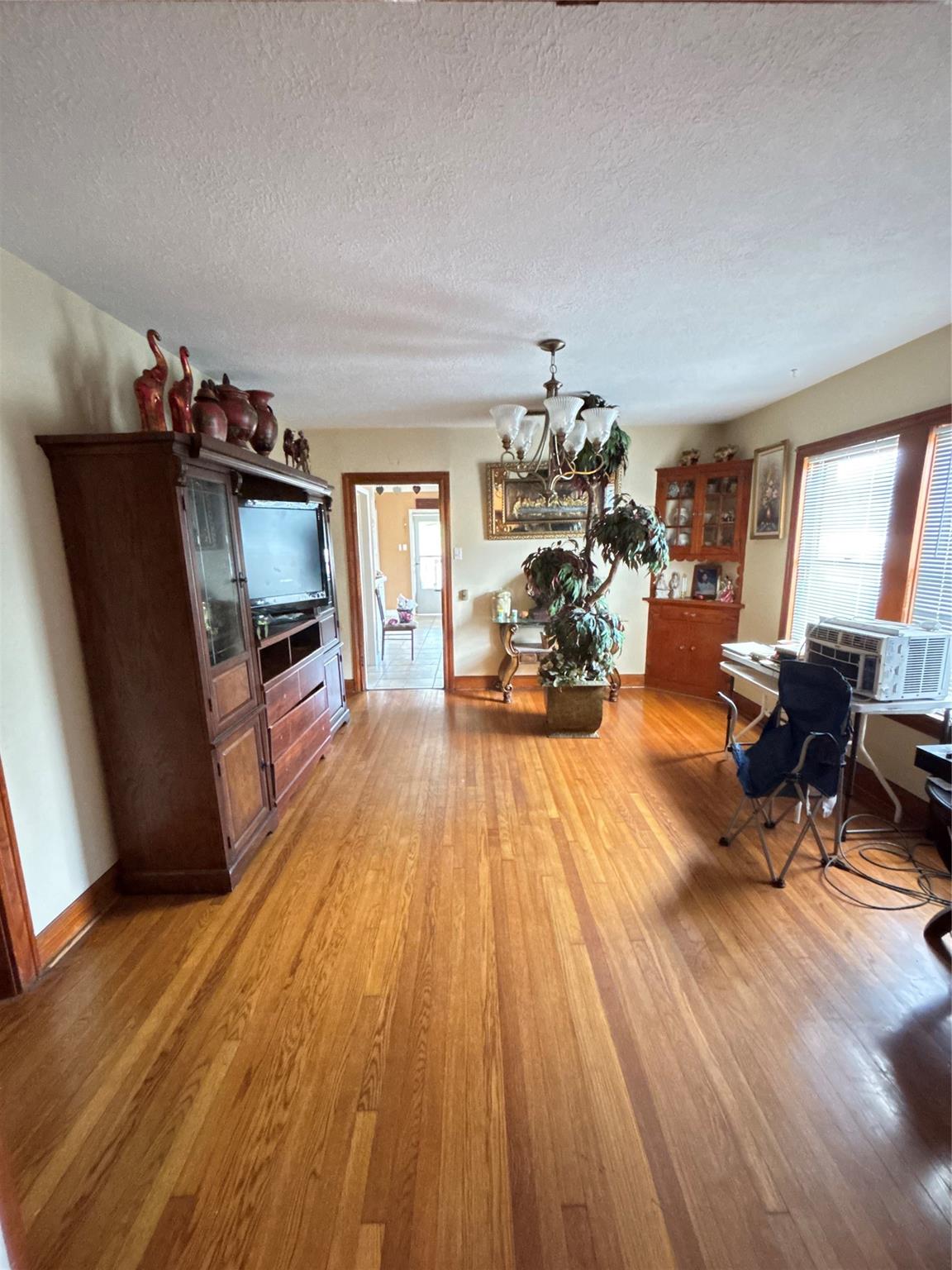 203 W Park Lane