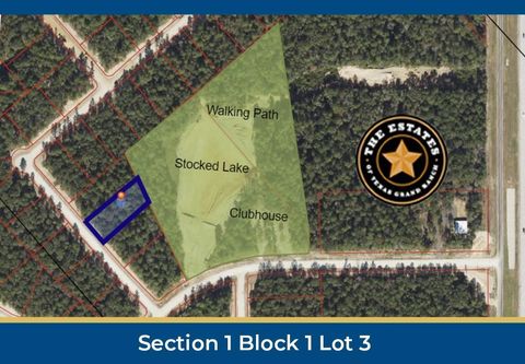 Photo of 126 Hollow Hill Drive, New Waverly, TX 77358 (MLS # 61960540)