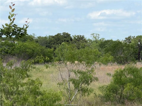 Photo of TBD Tonkaway Lake Pvt Road, College Station, TX 77845 (MLS # 97616554)