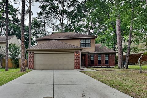 Photo of 15 Kearny Brook Place, Spring, TX 77381 (MLS # 60897975)