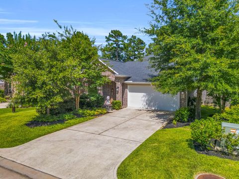 Photo of 222 Elianne Lace Ct Court, Conroe, TX 77318 (MLS # 36975217)