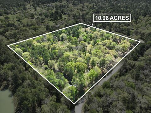 Photo of TBD Cr 351, Plantersville, TX 77363 (MLS # 48270572)