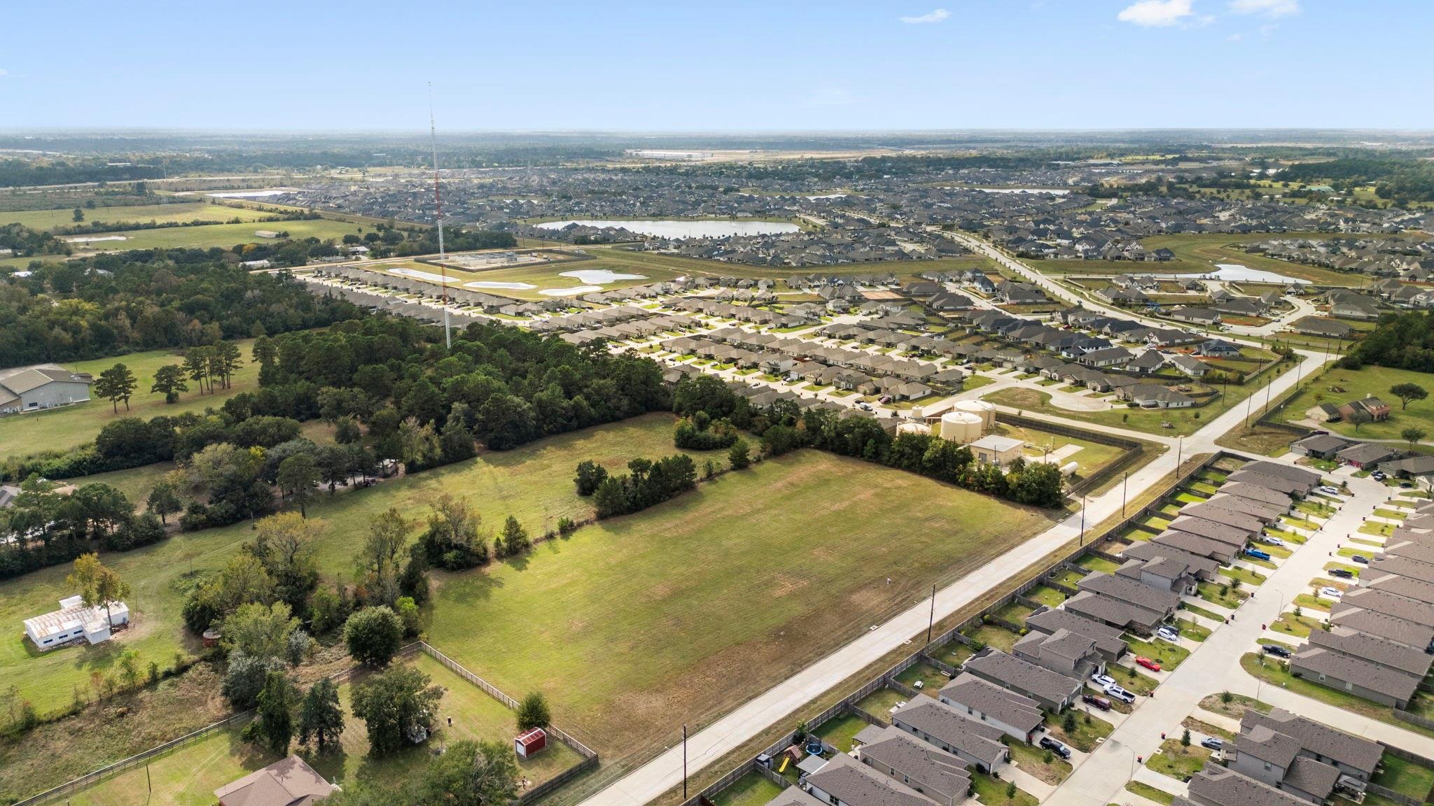 TBD Blooming Rose Meadow