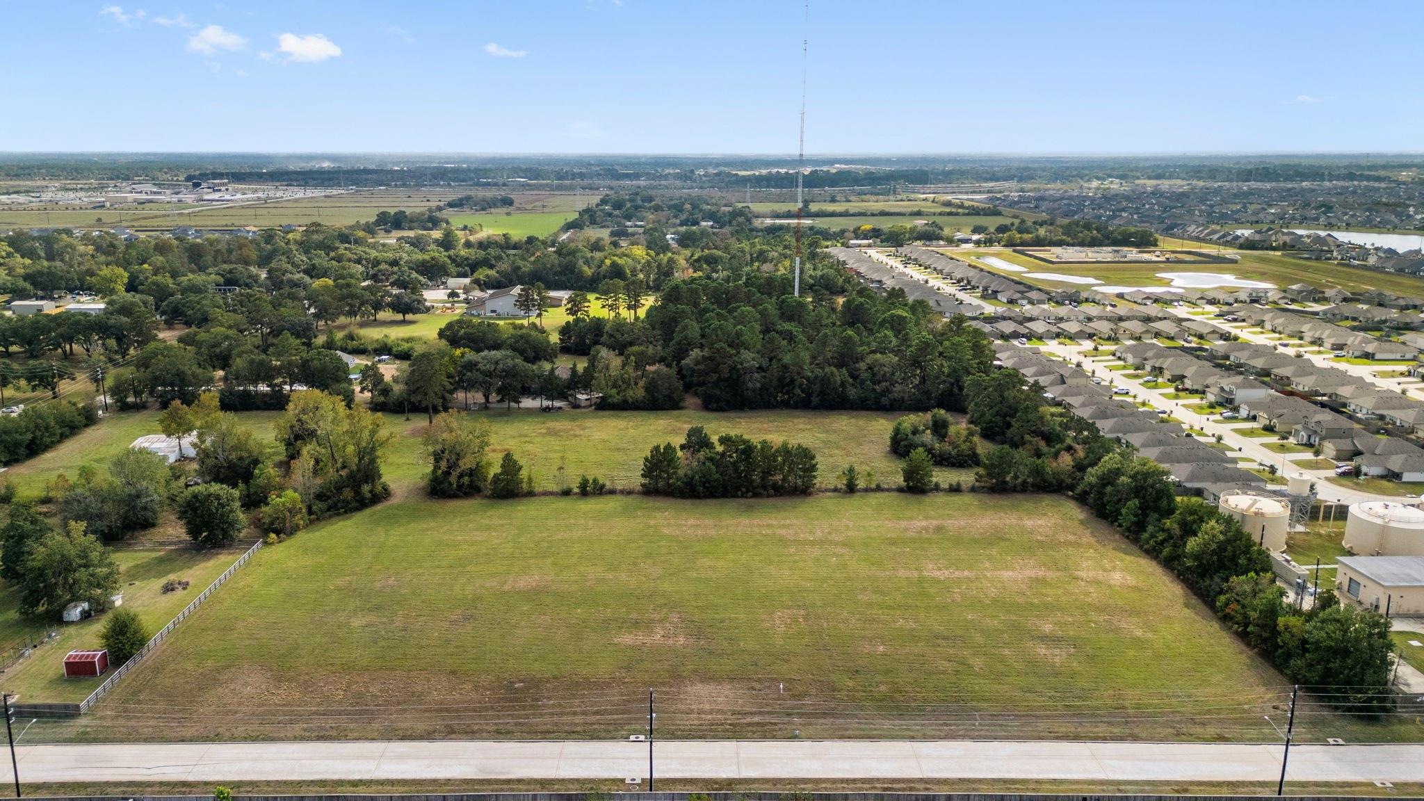 TBD Blooming Rose Meadow