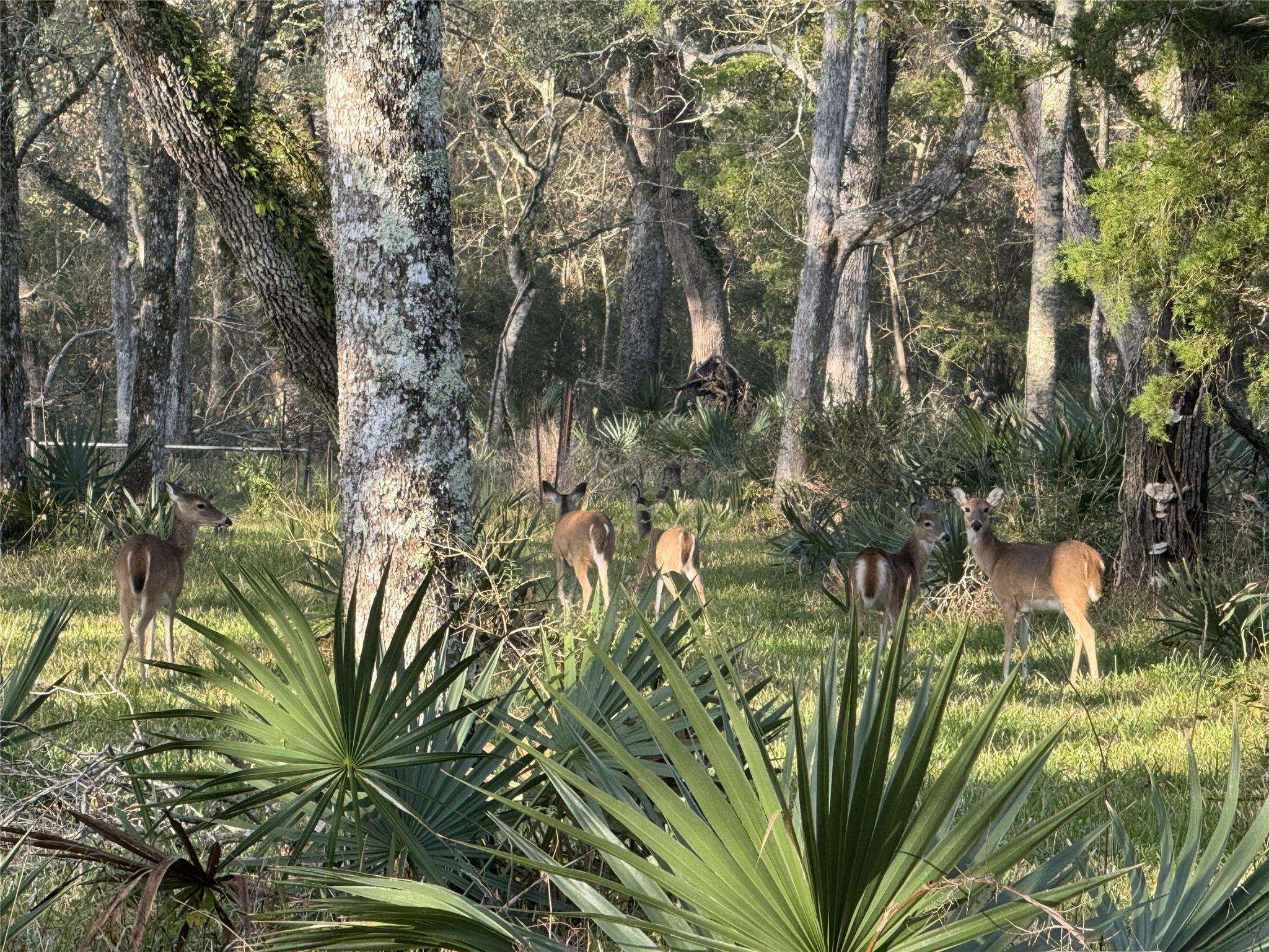 0 Private Road 648 Street