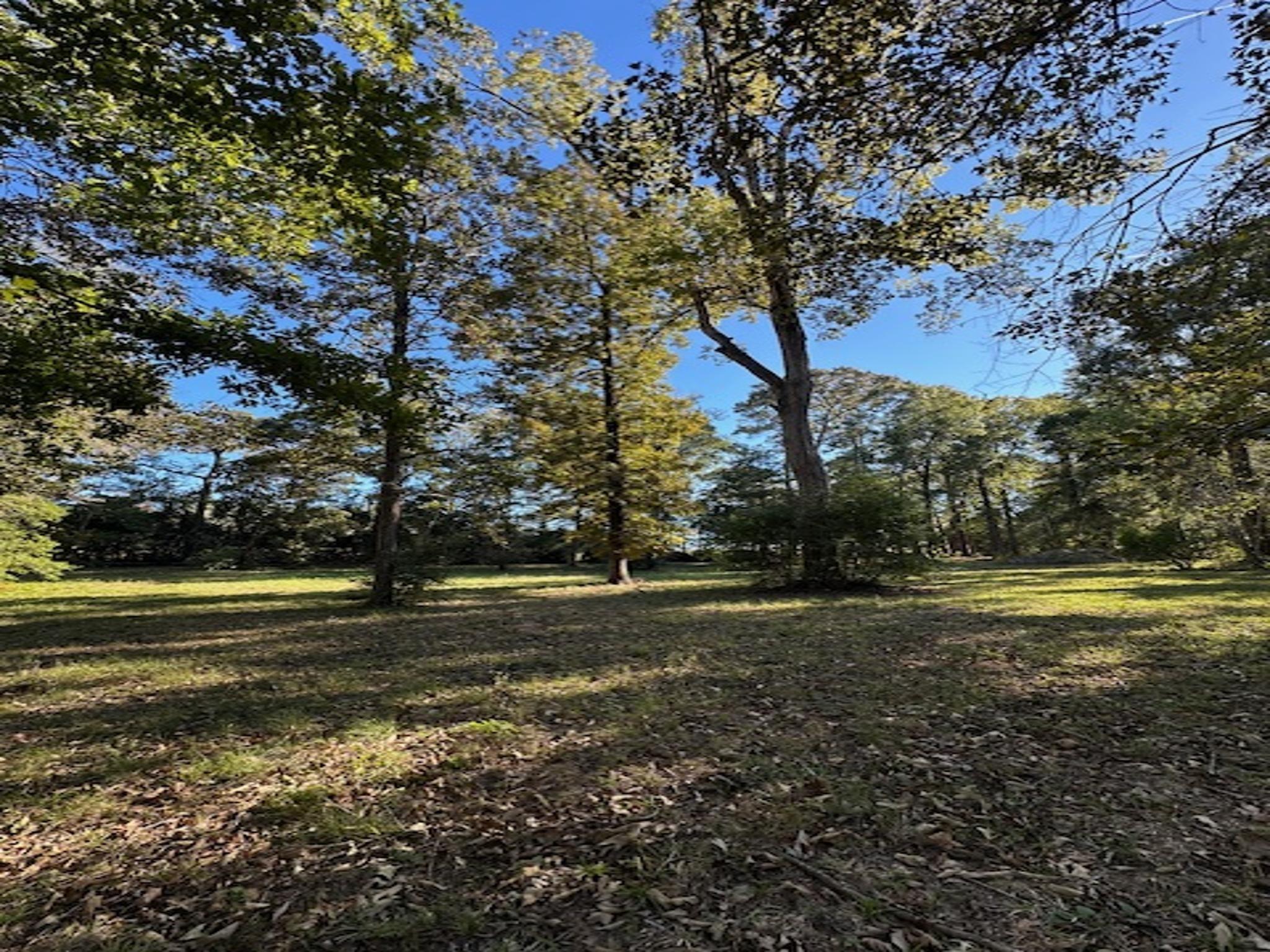 10695 Magnolia Drive