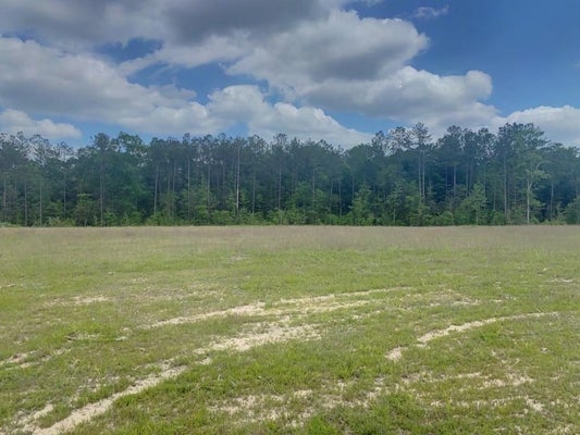 3051 COUNTY ROAD 1700, WARREN, TX 77664 - Image 7dd37e673db80e01ae0f4e611e3b29a5/941332688