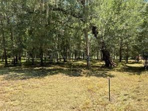 Photo of 0 Sour Lake Circle CIR, Cleveland, TX 77327 (MLS # 82154833)