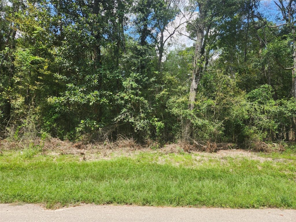 Photo of 0 Idlewood Rdwy, New Caney, TX 77357 (MLS # 24547235)