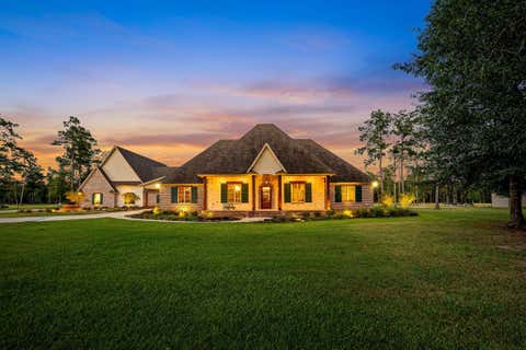 Photo of 9155 Grizzly Drive, Kountze, TX 77625 (MLS # 46346750)