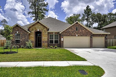14103 Ash Mountain Lane Conroe TX 77384