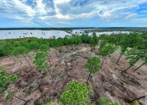 Vacant Land For Sale - 010 Fm 83<br/> San Augustine County, Broaddus, TX 75929