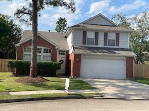 14202 Misty Knoll Court Houston TX 77062