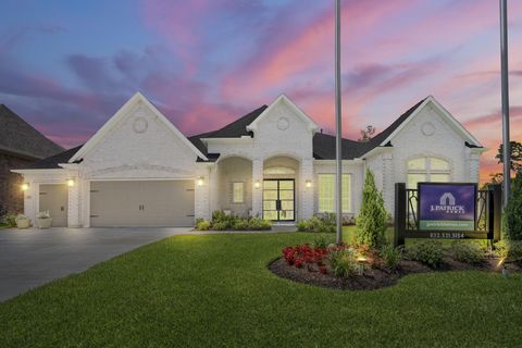 228 Lilac Tree Court Willis TX 77318