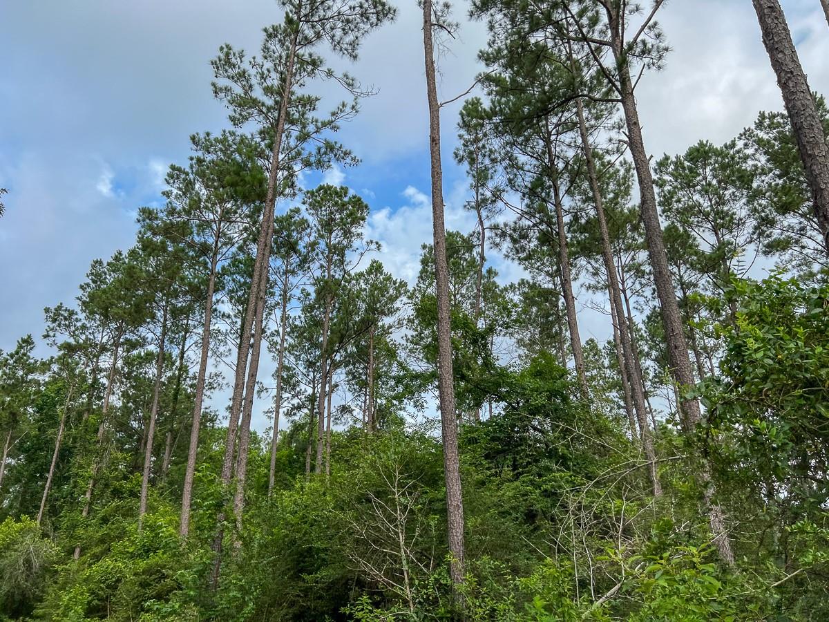 5 Old Salem Church Road