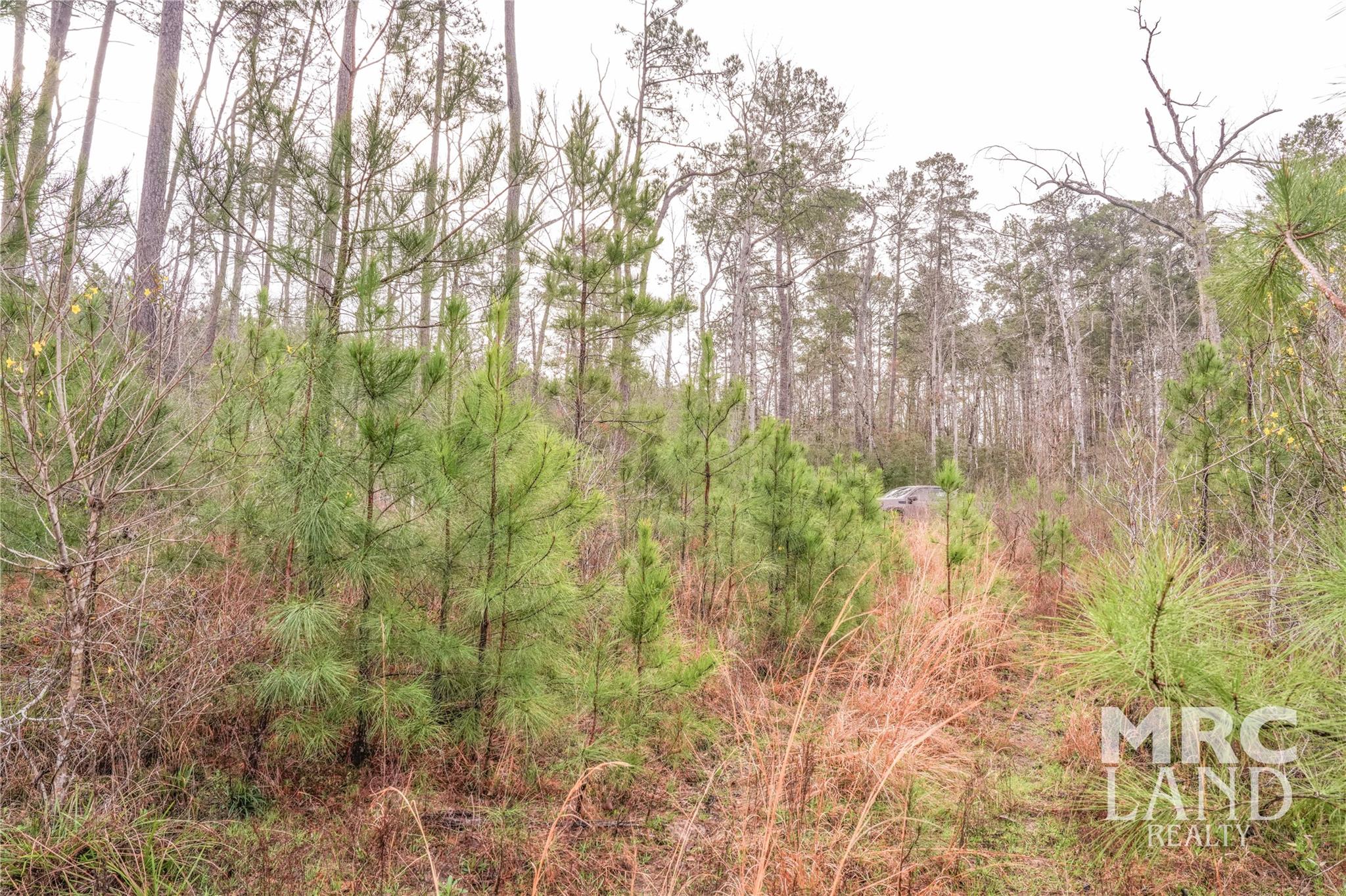 000 County Road 2052